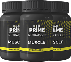 Muscle 3x